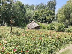 -沙家浜风景区