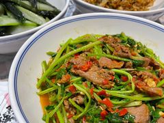 -壹盏灯(惠农店)