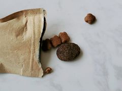 -Husky Go! 哈士奇体验馆·宠物咖啡厅狗咖