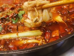 -鸿顺老铁锅美蛙鱼府(解放碑店)