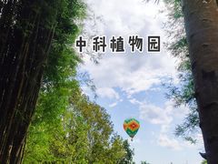 -中国科学院西双版纳热带植物园