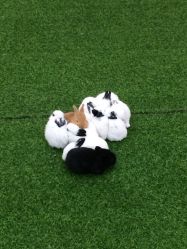 -萌宠亲子动物乐园(槐房万达店)