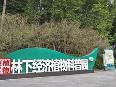 -火炉山森林公园