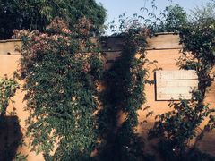 -悦哉·派对·草坪婚礼·围炉煮茶(三圣乡店)
