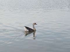 -海珠湖公园