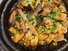 -龙泉人椰子鸡.糟粕醋.海南菜(三亚旗舰店)