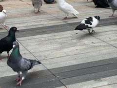 -中航城君尚购物中心