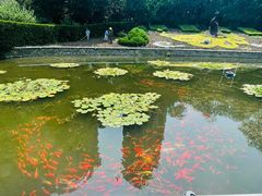 -中山公园