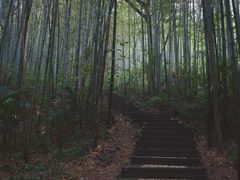 -南山风景名胜区