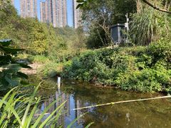 -重庆彩云湖湿地公园
