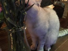 -MIKAKU(万达广场上海宝山店)