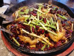 -老板恋上鱼(恒隆广场店)