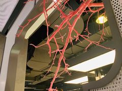 大堂-竹外桃花·江南小酒馆(SKP·S店)