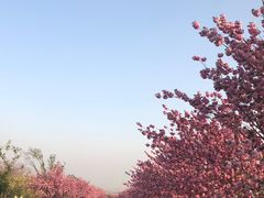 -古柏渡飞黄旅游区