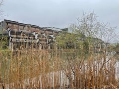 -长兴太湖图影湿地文化园