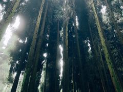 -太阳湾风景区