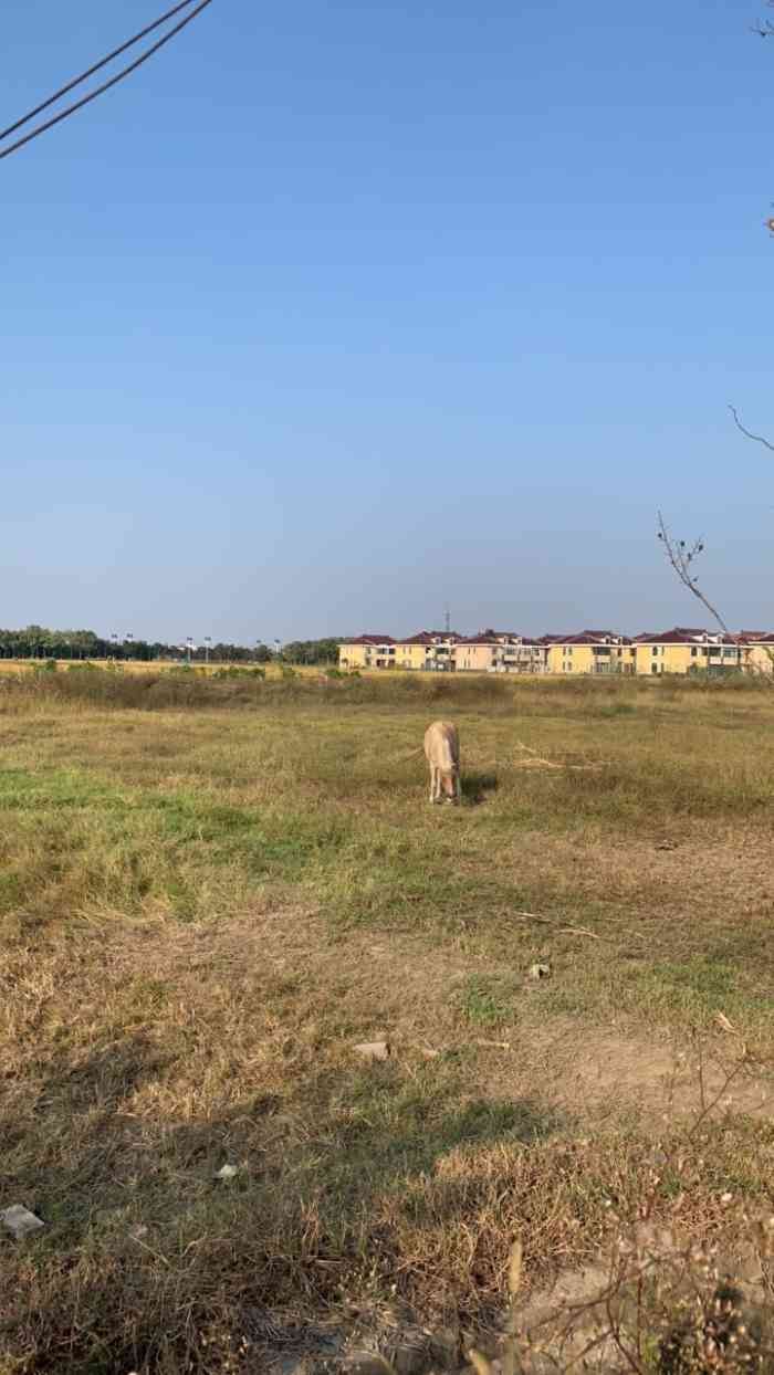 乐田家庭农场-"【印象】项目有特色 | 场地较大真是一.