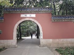 -灵谷景区