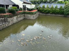 -宁波柏悦酒店·钱湖渔港