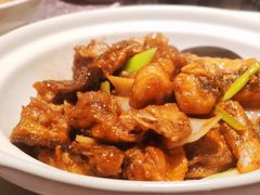 黄焖龙胆鱼-宣和苑(华侨新村店)