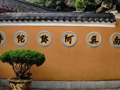 -珞珈山-售票处