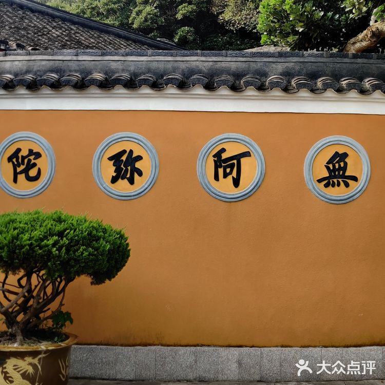 不到珞珈山，等于没来过普陀山🙏