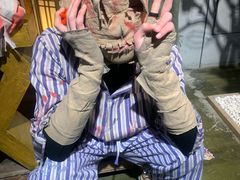 -长藤鬼校(龙翔店)