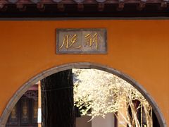 -灵谷景区