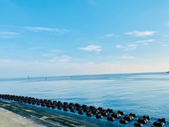 -白沙门生态公园