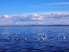 -青海湖国家重点风景名胜区