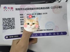 -中国福利会少年宫