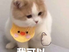 -麦当劳(昆山北门路店)