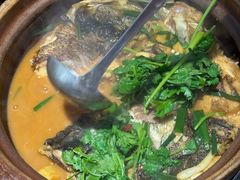 -九道菜有鸡鱼头(石鼓路店)