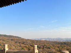 -灵谷景区