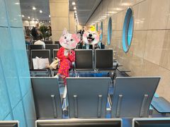 -开罗国际机场