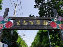 -上海长兴岛郊野公园