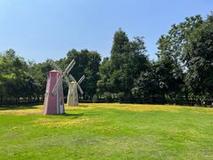 -南宁良凤江国家森林公园