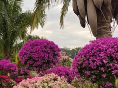 -华南国家植物园-售票处