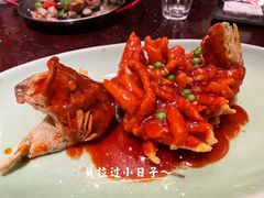 松鼠桂鱼-新白鹿餐厅(爱琴海购物中心店)