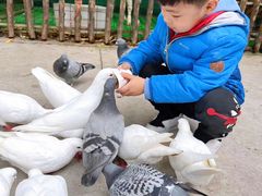 -史努比缤纷世界