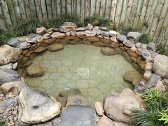 -张家港金凤凰度假村温泉