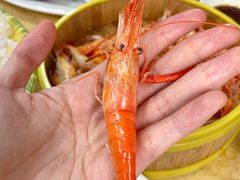 -东胜客河鲜店·西江河鲜·老字號渔家菜