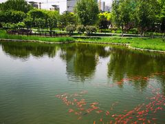 -西海子公园