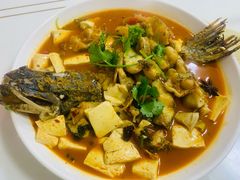 -煲来饱去冷水鱼