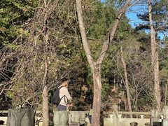 -四明山国家森林公园