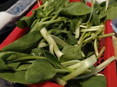 -林记潮牛·牛肉火锅(上马墩店)