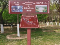 -永定河休闲森林公园