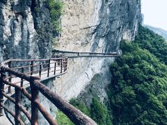 -鹿院坪生态旅游景区