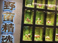 -野·大山里野生菌石锅土鸡(益田假日店)