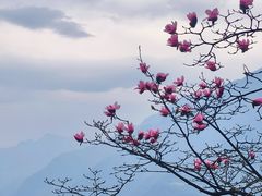 -九皇山景区